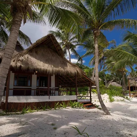 Bt Live Tulum Located At The Party Zone-3