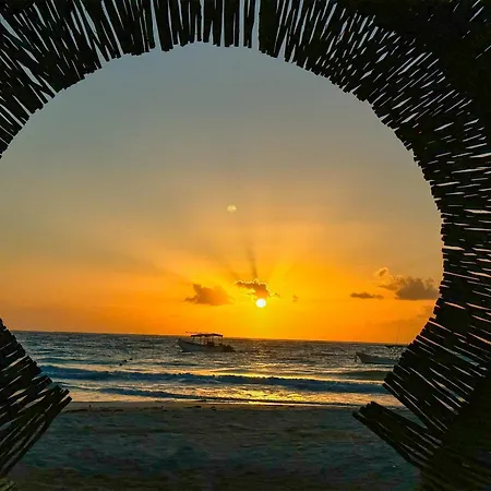 Alito Tulum Hotel-3