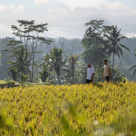 Wapa Di Ume Ubud-3