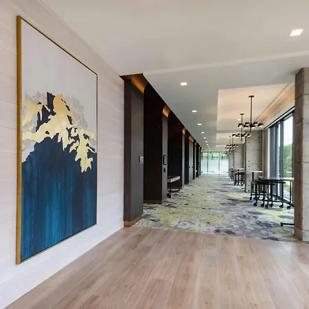Hyatt Centric Charlotte Southpark-2