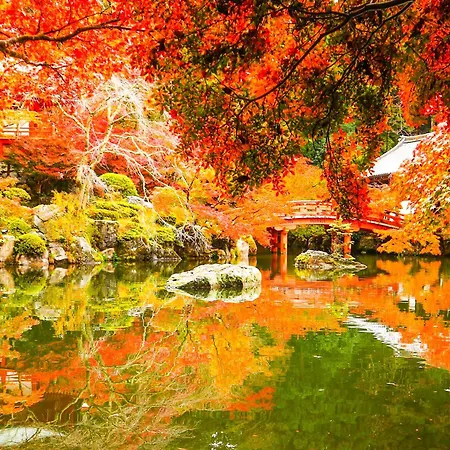 Eph Kyoto-3
