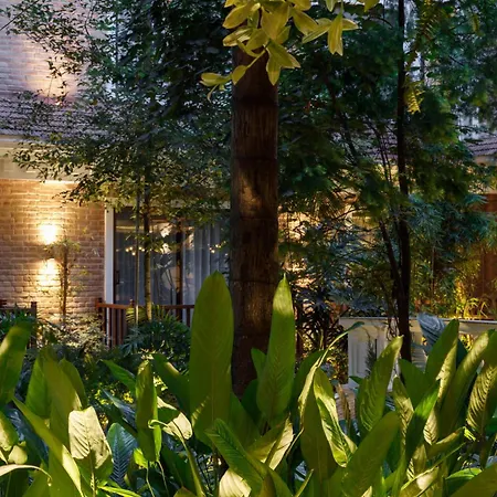 Hotel Thrive, A Tropical Courtyard-3