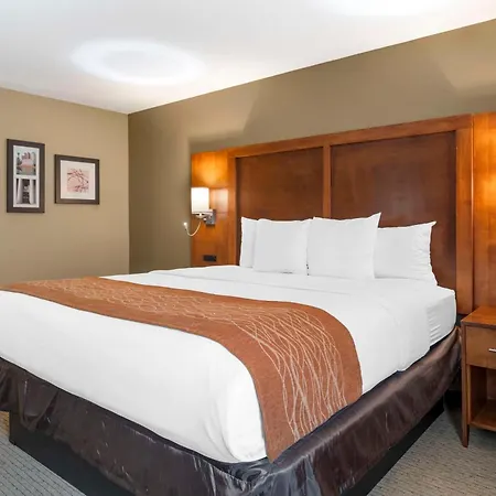 Comfort Inn North-Polaris-2
