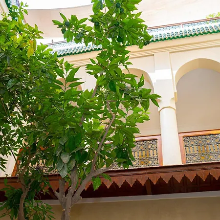 Riad Dar Zaouia-3