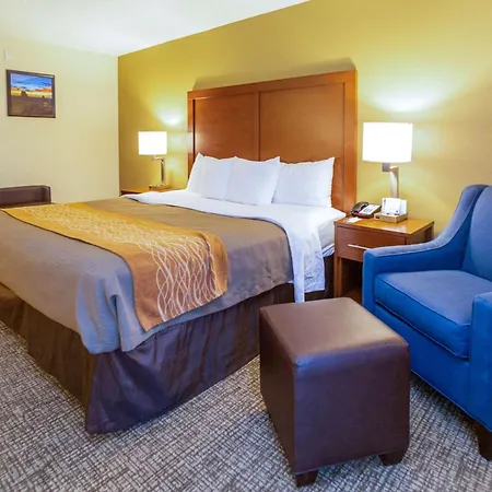Comfort Inn Salt Lake City Downtown-2
