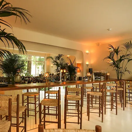 Apollo Palm Hotel-3