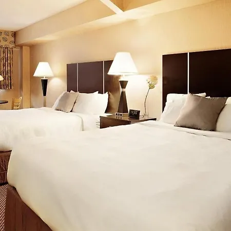Comfort Suites Downtown-2