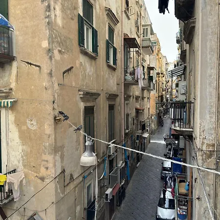 Toledo Relax-3