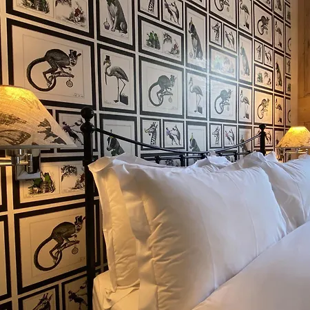 27 Brighton Guesthouse-3