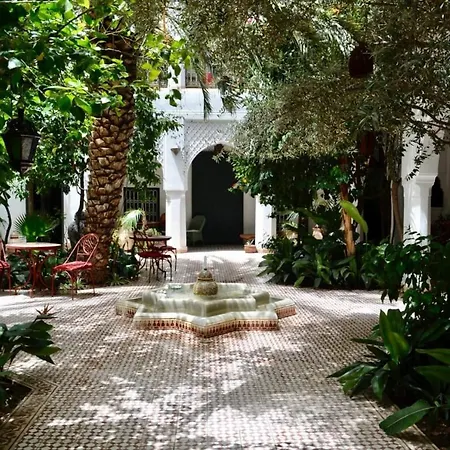 Riad Ifoulki-2