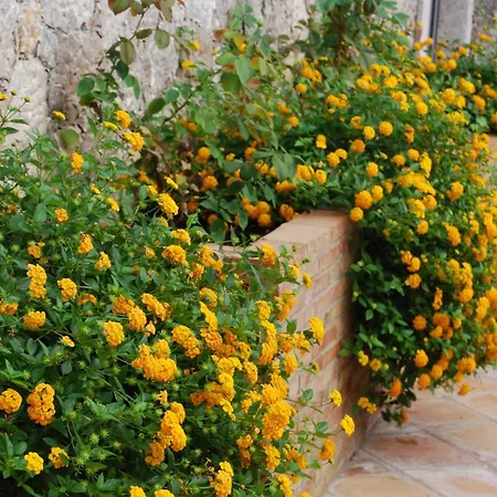Villa Angela-3