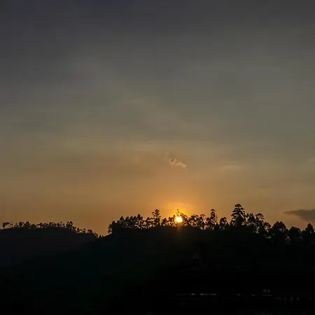 Hillview Munnar-3