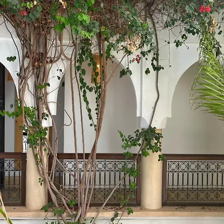 Riad Dar Zaman-2