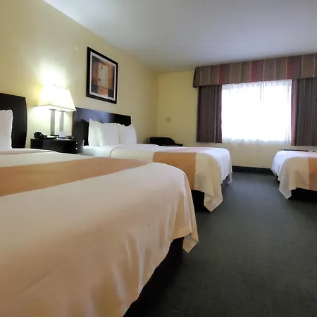 Quality Inn & Suites Anaheim At The Park-3