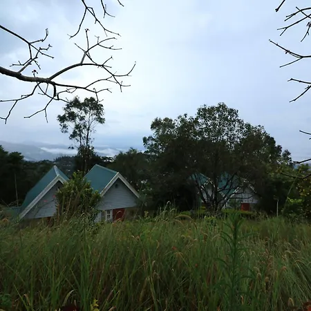 Ambady Estate-2