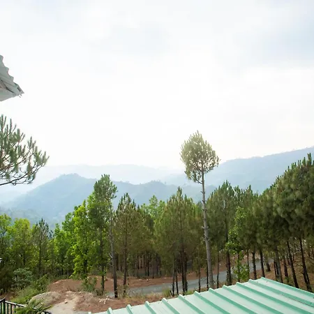 Blue Pine Orchards-2