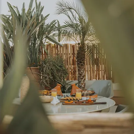 Riad K-3