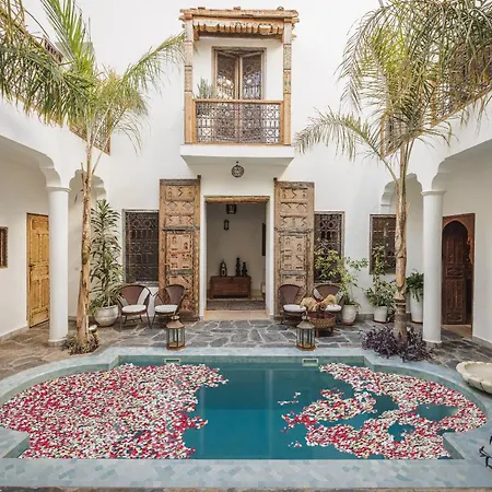 Riad Alkemia En Exclusivite-3