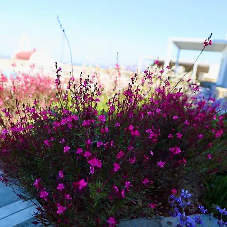 Margie Mykonos Hotel-3