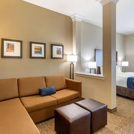 Comfort Suites Near Denver Downtown-3