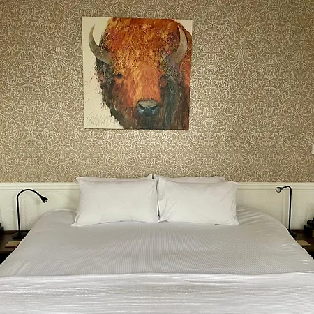The Bishop And The Bison-2