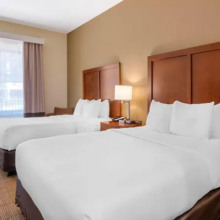 Comfort Inn & Suites Northeast - Gateway-3
