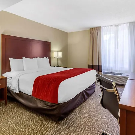 Comfort Inn St Petersburg North-3