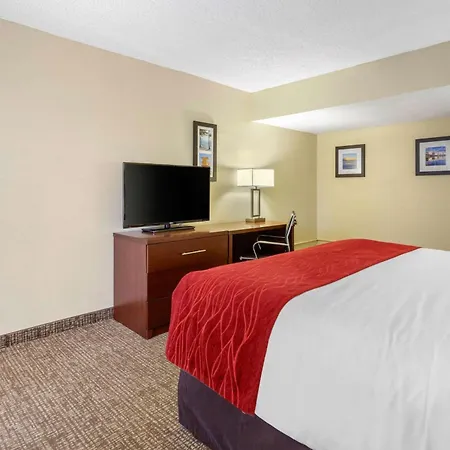 Comfort Inn St Petersburg North-2