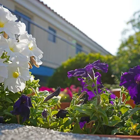 Green Bungalows Hotel Apartments-2