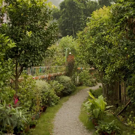 Cottages At Village Bhimtal-Naukuchiatal-3