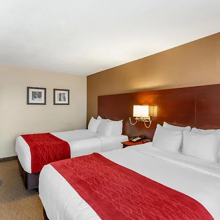 Comfort Inn Airport West-2