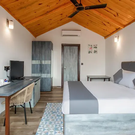 Stone Wood Beach Resort- A Party Hotel-3