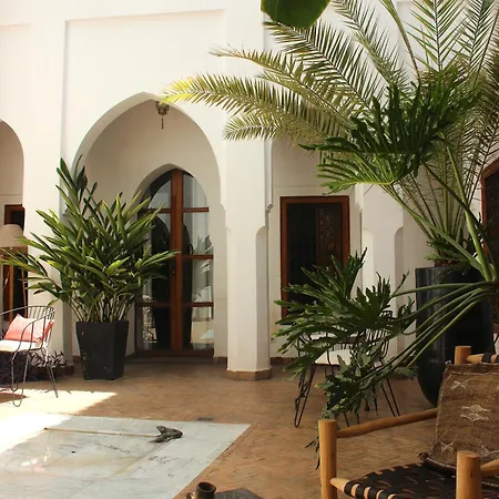 Riad Miski-2