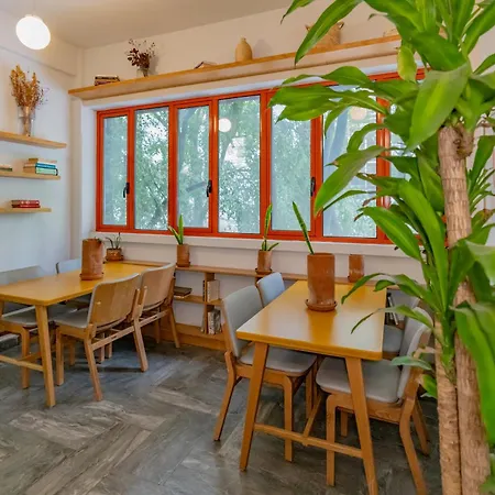 La Campechana Condesa-3