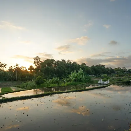 Ubud Art Resort By Wedja-2