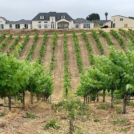Domaine Chardonnay-3