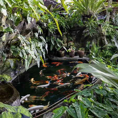 Cloudspace Ubud-3