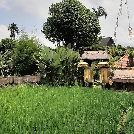 Ubud Hidden Villa Yone Village-2