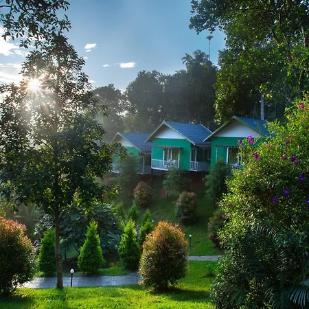 The Arbour Resort Munnar-2