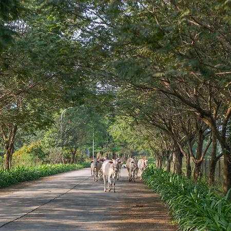 Sterling Stolen Heaven Lonavala-2
