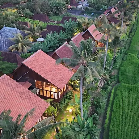 Ubud Art Resort By Wedja-2
