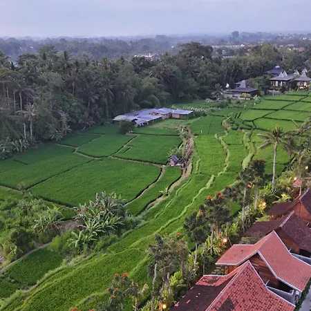 Ubud Art Resort By Wedja-3