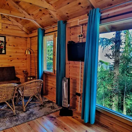 Mid Conifer Resort And Cottages-3