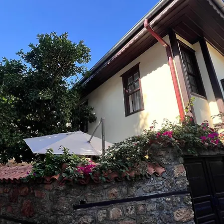 Villa Citronella Boutique Hotel-2