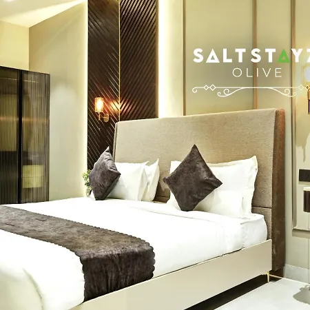 Saltstayz Select - Pitampura-2