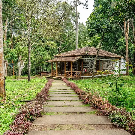 Zacs Valley Resort & Wellness Retreat Kodaikanal-3