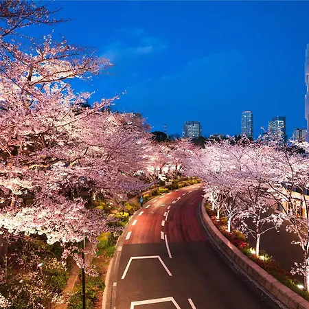Mimaru Tokyo Akasaka-3