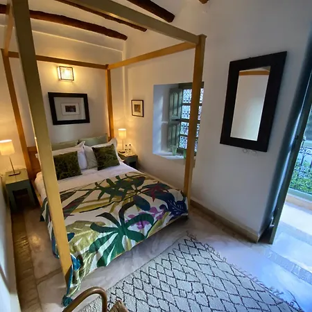 Riad Timila-2