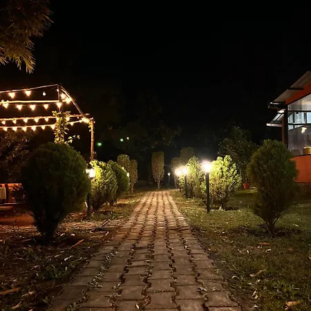 Teakwood Forest Resort-3