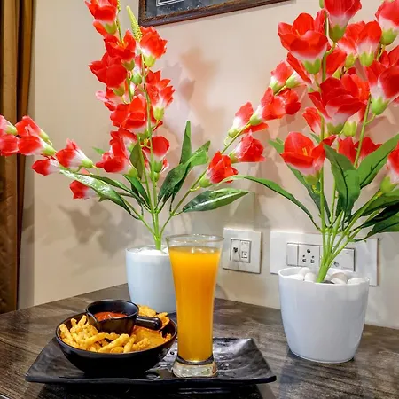 Hotel De Tark A Family Hotel Near Igi Airport Delhi-2